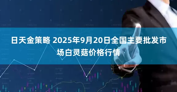 日天金策略 2025年9月20日全国主要批发市场白灵菇价格行情